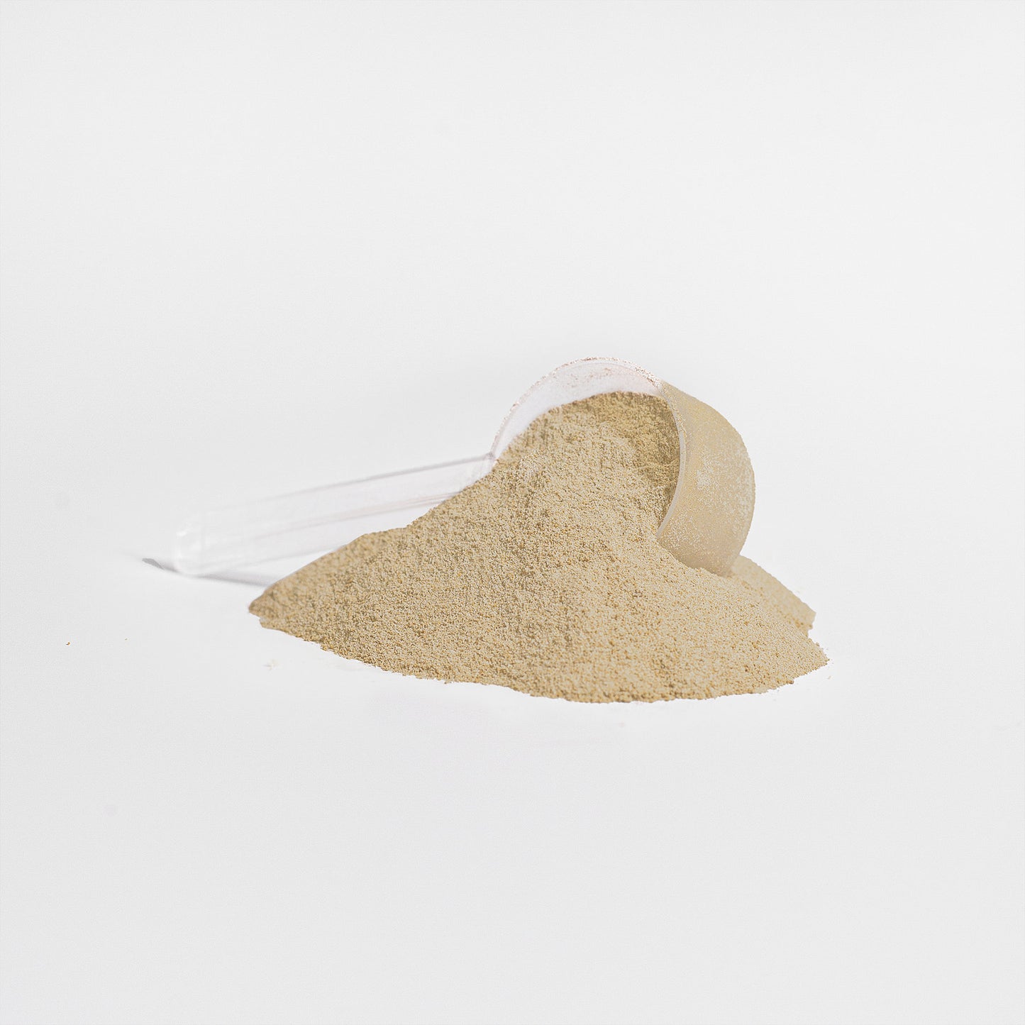 Vanilla Whey Protein
